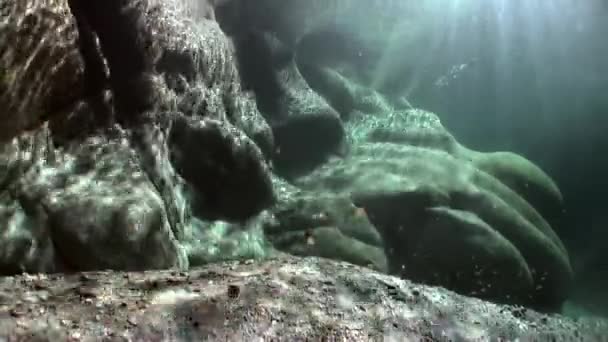 Refracción de la luz solar bajo el agua sobre piedras lisas del río Verzasca . — Vídeo de stock