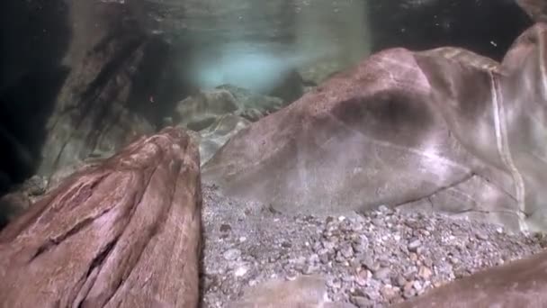 Agua transparente del río Verzasca sobre fondo de enormes piedras lisas . — Vídeos de Stock