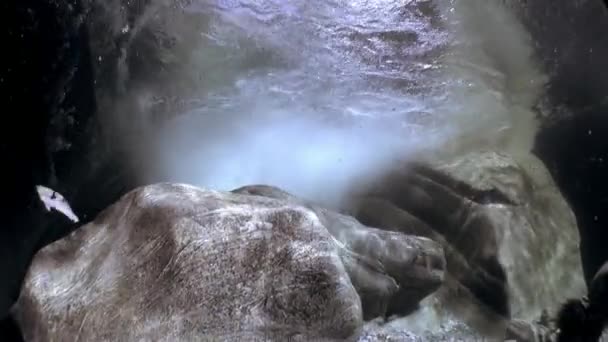 Stora släta stenar och stenar under vattnet genomskinliga floden Verzasca. — Stockvideo