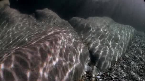 수 중 강 Verzasca의 매끄러운 돌에 햇빛의 굴절. — 비디오