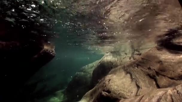 Água transparente de rio Verzasca em fundo de enormes pedras lisas . — Vídeo de Stock