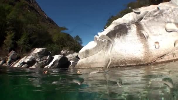 Genomskinliga Vattnet Floden Verzasca Bakgrund Enorma Släta Stenar Pittoreska Natur — Stockvideo