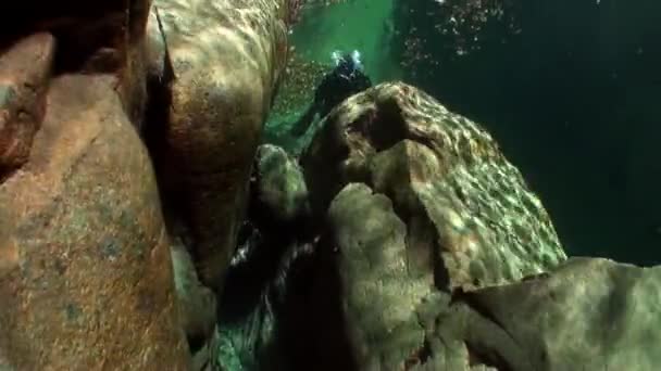 Camera operator diver underwater in transparent river Verzasca. — Stock Video