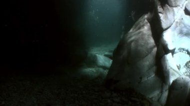 Sualtı manzara nehir Verzasca. büyük yumuşak taşlar arka plan üzerinde.