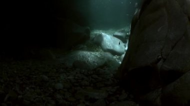 Sualtı manzara nehir Verzasca. büyük yumuşak taşlar arka plan üzerinde.