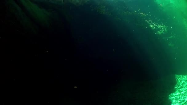 Refracción de la luz solar bajo el agua sobre piedras lisas del río Verzasca . — Vídeos de Stock