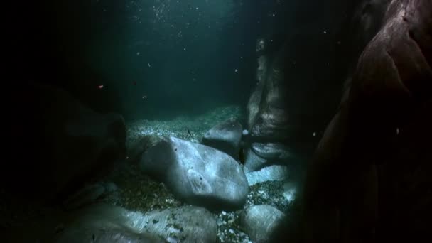 Underwater landscape of river Verzasca. on background of huge smooth stones. — Stock Video
