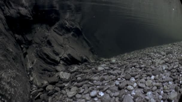 Podvodní Krajina Řeky Verzasca Pozadí Velké Hladké Kameny Malebná Příroda — Stock video