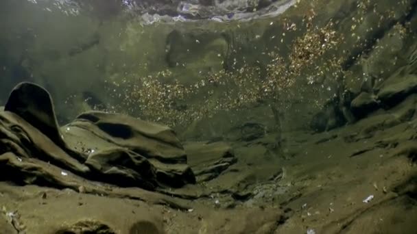 강 Verzasca의 수 중 풍경입니다. 거 대 한 부드러운 돌의 배경. — 비디오