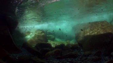Sualtı görünümünü dağ nehir Verzasca güçlü dip akıntısı.