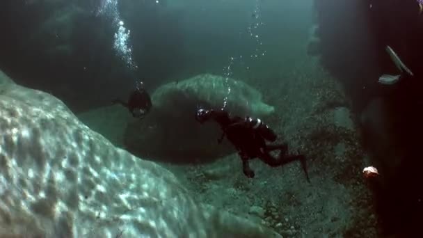 Potápěči s kamerou pod vodou v průhledné řeky Verzasca. — Stock video