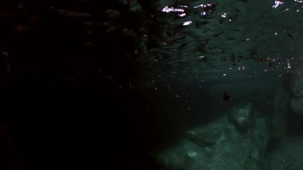 Paisaje submarino del río transparente Verzasca . — Vídeo de stock