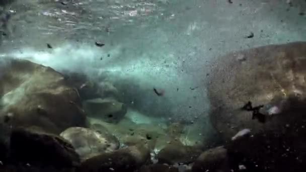 Zicht onderwater op sterke onderstroom van berg rivier Verzasca. — Stockvideo