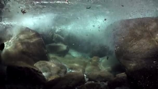 Zicht onderwater op sterke onderstroom van berg rivier Verzasca. — Stockvideo