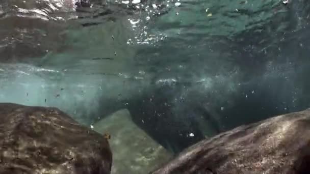 Vista bajo el agua de fuerte corriente subterránea del río de montaña Verzasca . — Vídeos de Stock