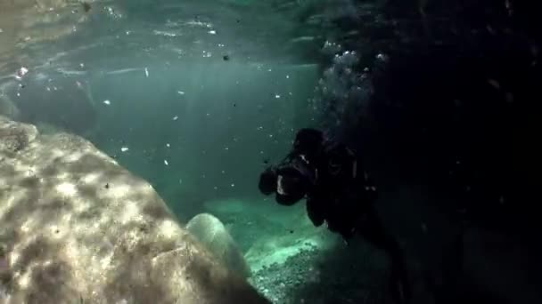 Taucher mit Kamera unter Wasser in transparentem Fluss verzasca. — Stockvideo