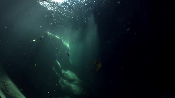 Paisaje submarino del río Verzasca. sobre el fondo de enormes piedras lisas . — Vídeo de stock