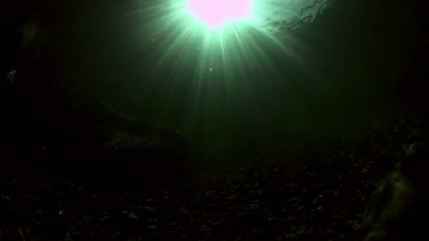 Refraksi sinar matahari di bawah air pada batu halus sungai Verzasca . — Stok Video
