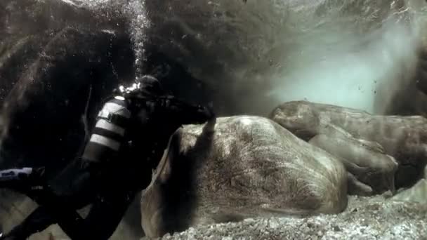 Duikers met camera onderwater in transparante rivier Verzasca. — Stockvideo
