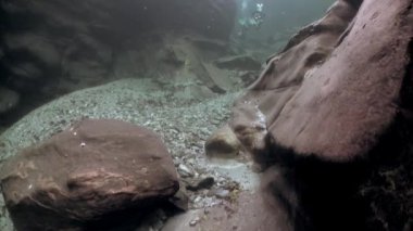 Dalgıçlar suyun altında şeffaf nehir Verzasca.