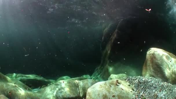 Refraction of sunlight underwater on smooth stones of river Verzasca. — Stock Video