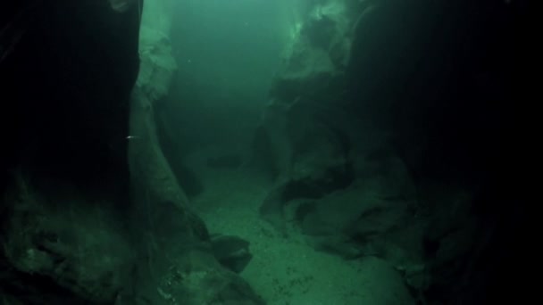 Underwater landscape of transparent river Verzasca. — Stock Video