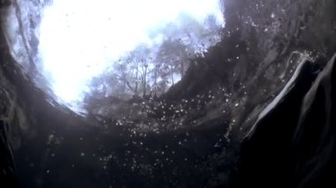 Ağaçlar dağ nehir Verzasca şeffaf su altından görünür.