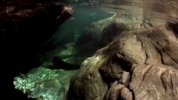 Paisagem subaquática do rio Verzasca. no fundo de enormes pedras lisas . — Vídeo de Stock