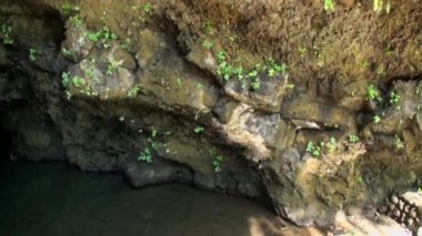 Fransız Polinezyası Tahiti Adası mağara.