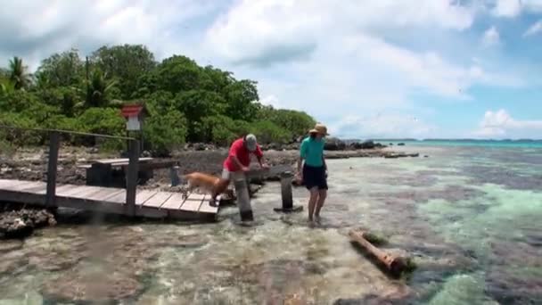 Pies z mężczyzną i kobietą do podróży w łodzi w ocean. — Wideo stockowe