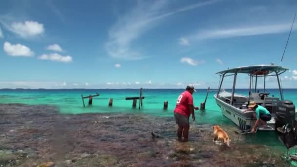Σκύλος συνοδοί ενός άνδρα και μιας γυναίκας σε ένα ταξίδι σε μια βάρκα στον ωκεανό. — Αρχείο Βίντεο