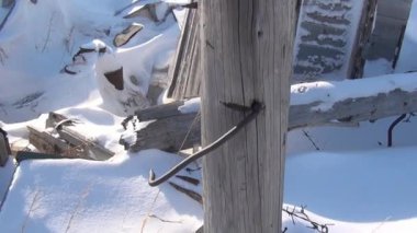 Çöp kadar kuzeyinde Rusya Gudym Çukotka terk edilmiş hayalet kasabasında.
