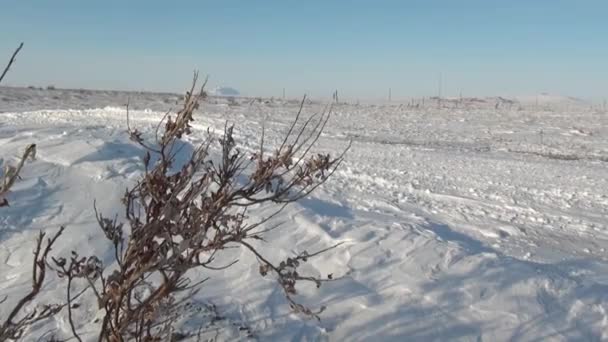 Naturen av snön öken i Anadyr på långt norr om Ryssland. — Stockvideo
