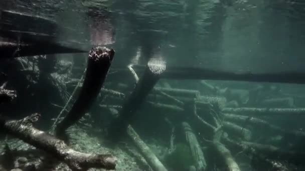 Arbre sous l'eau sous la lumière du soleil dans l'eau de la rivière Lena en Sibérie de la Russie. — Video