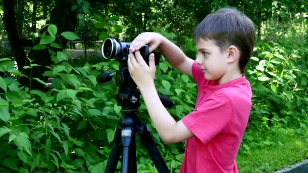 Мальчик Смотрит Видеокамеру Фоне Зеленого Парка Дети Свежем Воздухе Летом — стоковое видео