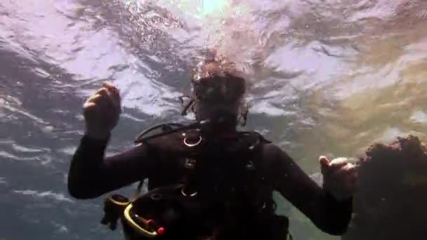 Dykare på bakgrund Skola av fisk undervattens landskap i Röda havet. — Stockvideo