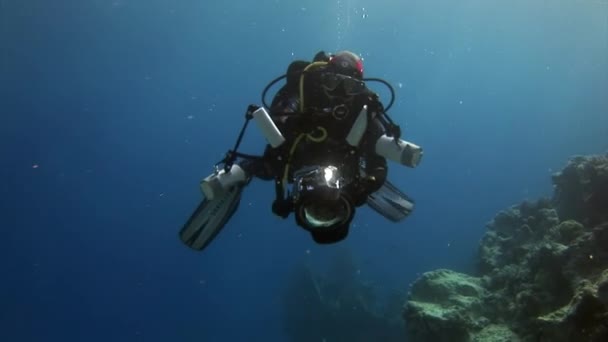Dykker på baggrund Skole af fisk undersøiske landskab i Røde Hav. – Stock-video