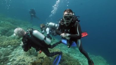 Banda Endonezya denizindeki balık sualtı manzarası dalgıcı..