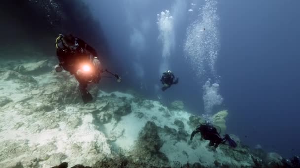 Buceador en el fondo Escuela de peces paisaje submarino en el Mar Rojo. — Vídeo de stock