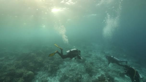 Diver sullo sfondo Scuola di pesce paesaggio subacqueo in mare di Banda Indonesia.. — Video Stock