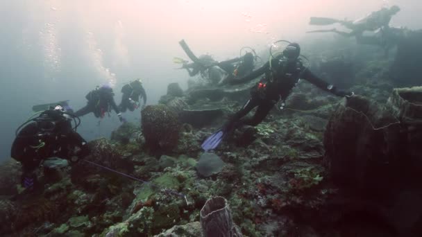 Arka plandaki dalgıç Kızıl Deniz 'deki balık sualtı manzarası okulu. — Stok video