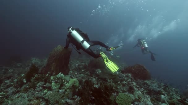 Diver sullo sfondo Scuola di pesce paesaggio subacqueo nel Mar Rosso. — Video Stock