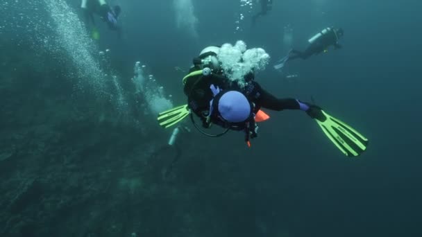 Dykare på bakgrund School of fish underwater landskap i havet i Banda Indonesien.. — Stockvideo