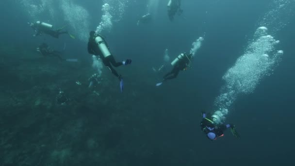 Buceador en el fondo Escuela de peces paisaje submarino en el Mar Rojo. — Vídeos de Stock