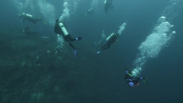 Diver sullo sfondo Scuola di pesce paesaggio subacqueo nel Mar Rosso. — Video Stock