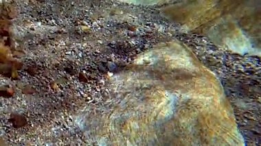 Su taşı keskinleştirir.