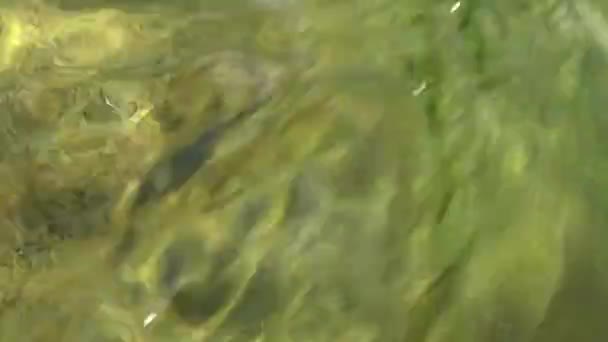 물은 돌을 날카롭게 한다 — 비디오
