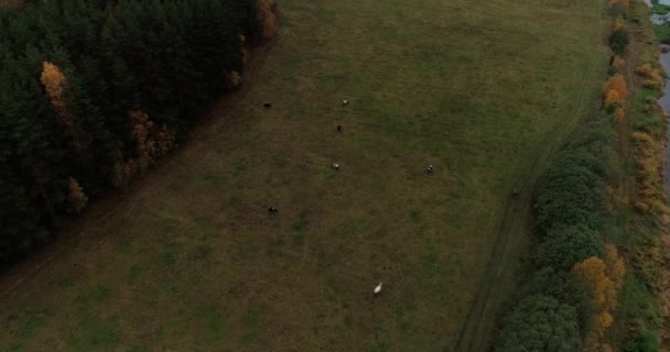 背景の空と雲に囲まれた川に家や庭園と農村の野生の環境パノラマは素晴らしい風景映画の景色。コンセプト気候｜屋外自然. — ストック動画