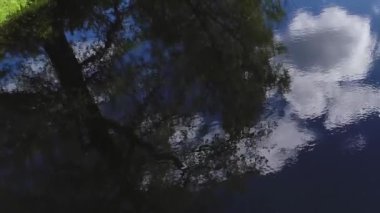 Yeşil otlaklarla çevrili, şeffaf temiz suyla dolu orman nehrinin hava manzarası büyüleyici manzara manzarası. Açık hava iklimi kavramı.