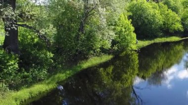 Yeşil otlaklarla çevrili, şeffaf temiz suyla dolu orman nehrinin hava manzarası büyüleyici manzara manzarası. Açık hava iklimi kavramı.